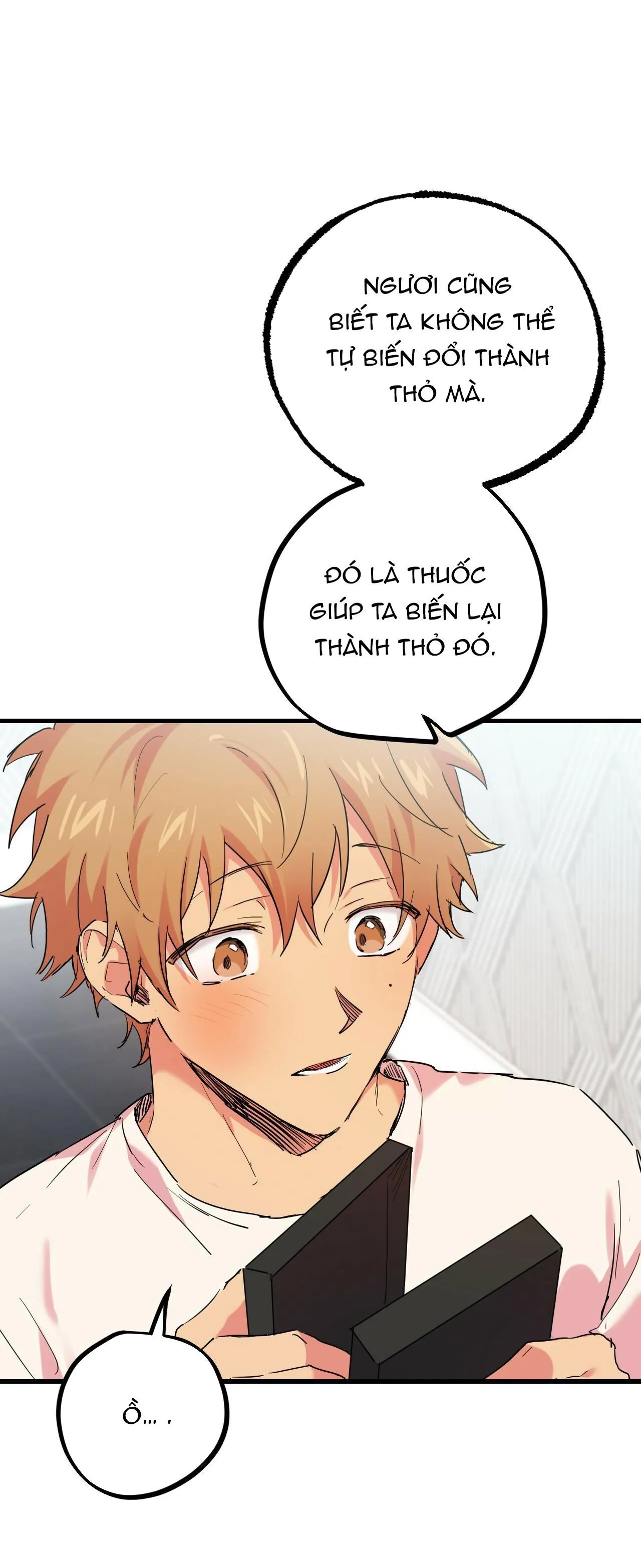 NHỮNG CHÚ THỎ CỦA HAPYPY Chapter 12 Trang 16