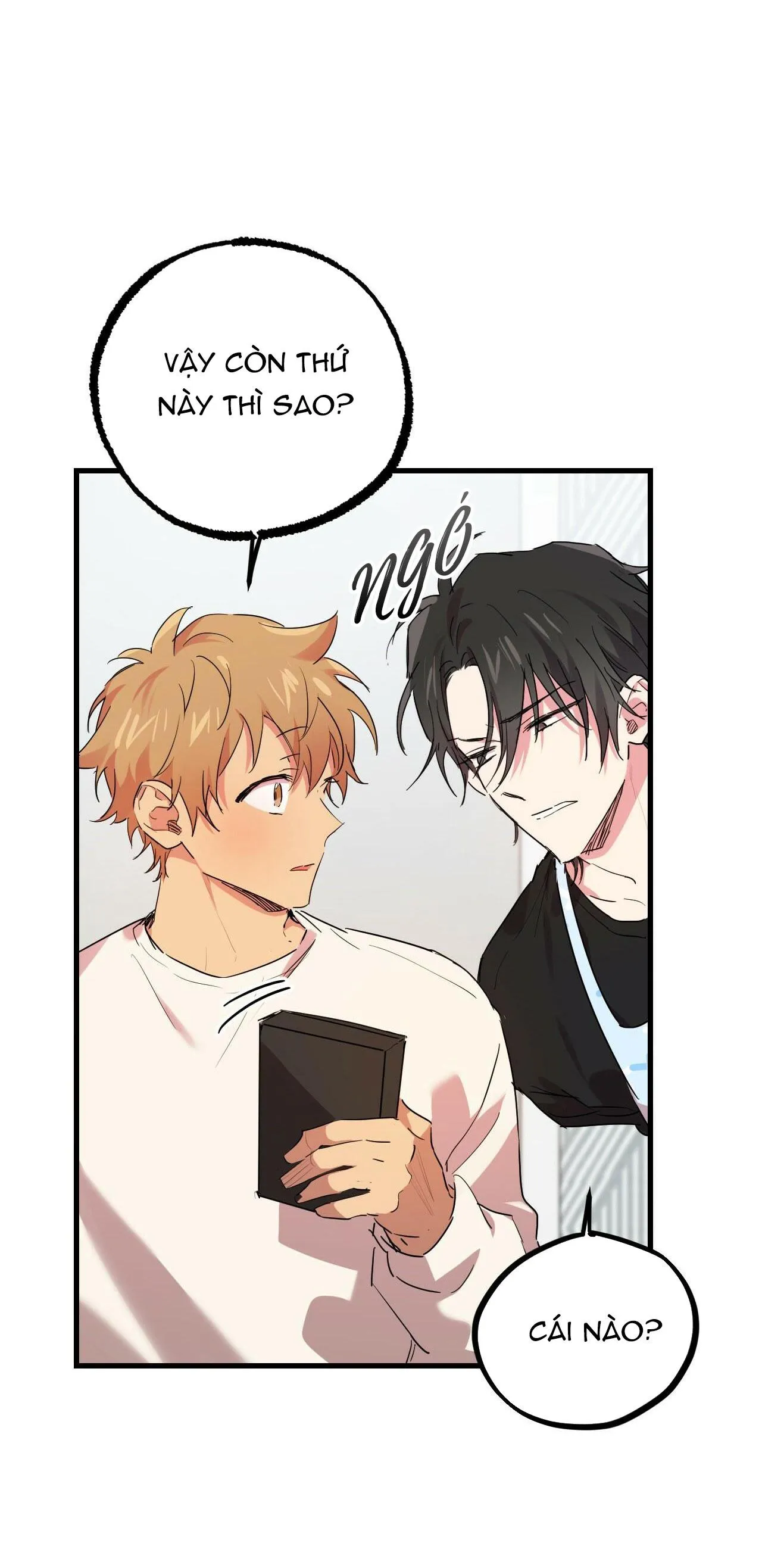 NHỮNG CHÚ THỎ CỦA HAPYPY Chapter 12 Trang 18