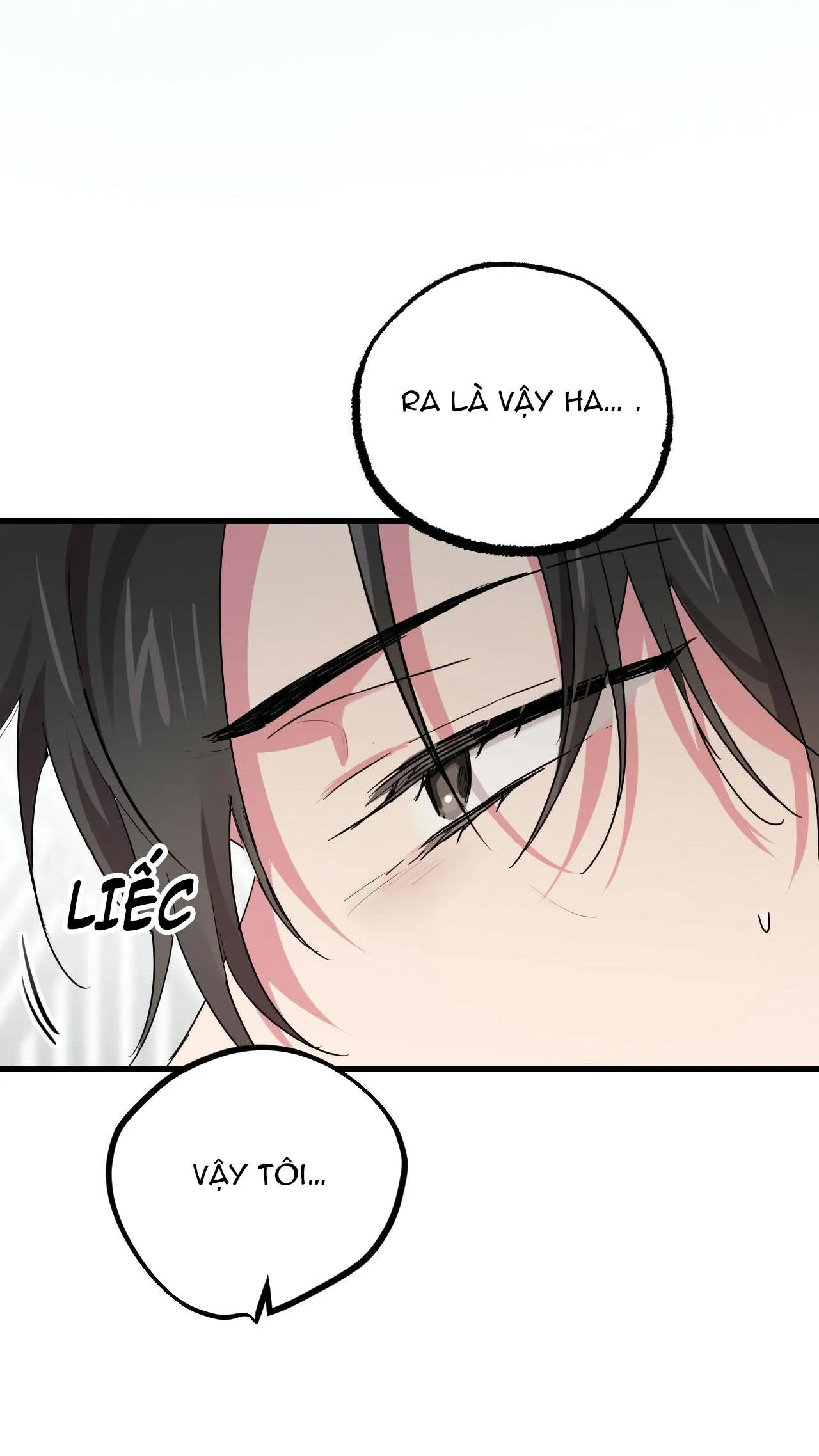 NHỮNG CHÚ THỎ CỦA HAPYPY Chapter 12 Trang 29