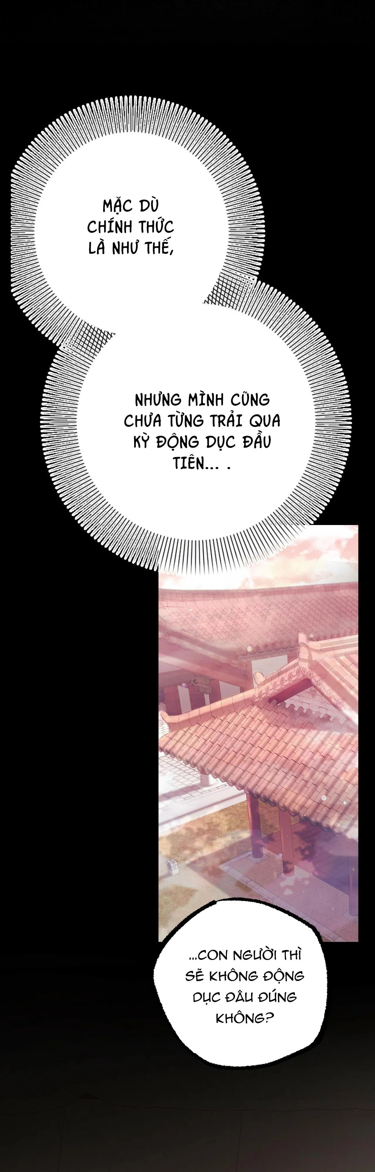 NHỮNG CHÚ THỎ CỦA HAPYPY Chapter 12 Trang 46