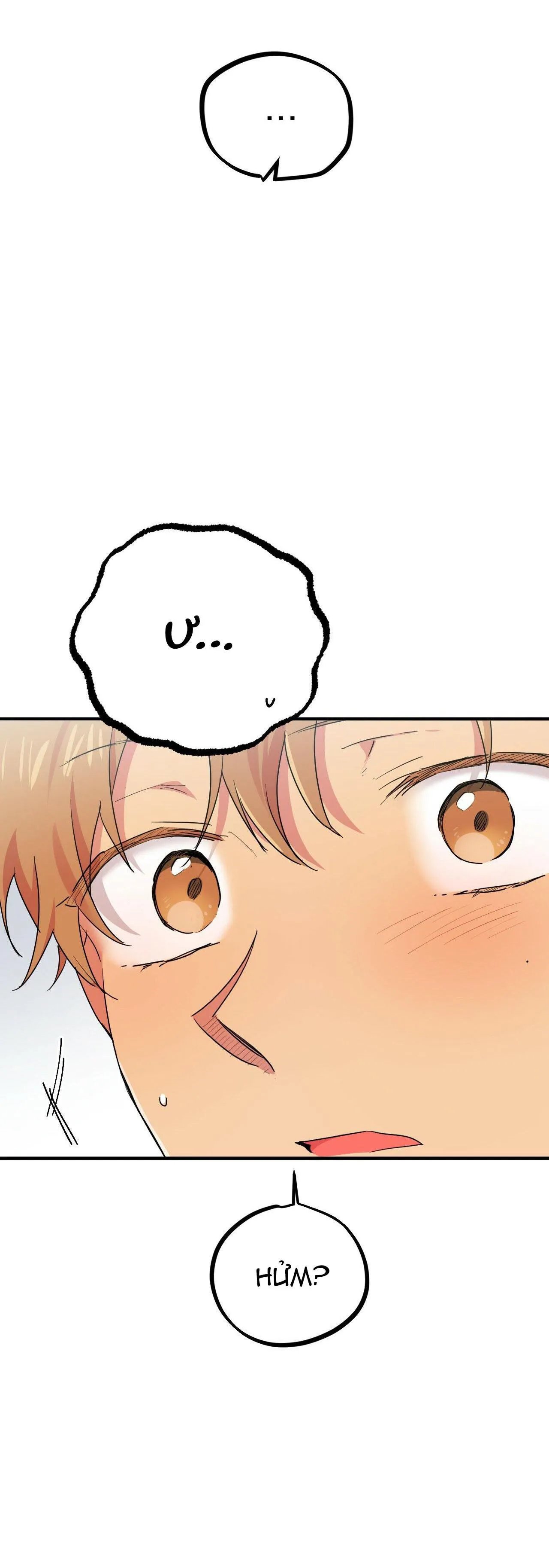 NHỮNG CHÚ THỎ CỦA HAPYPY Chapter 13 Trang 6