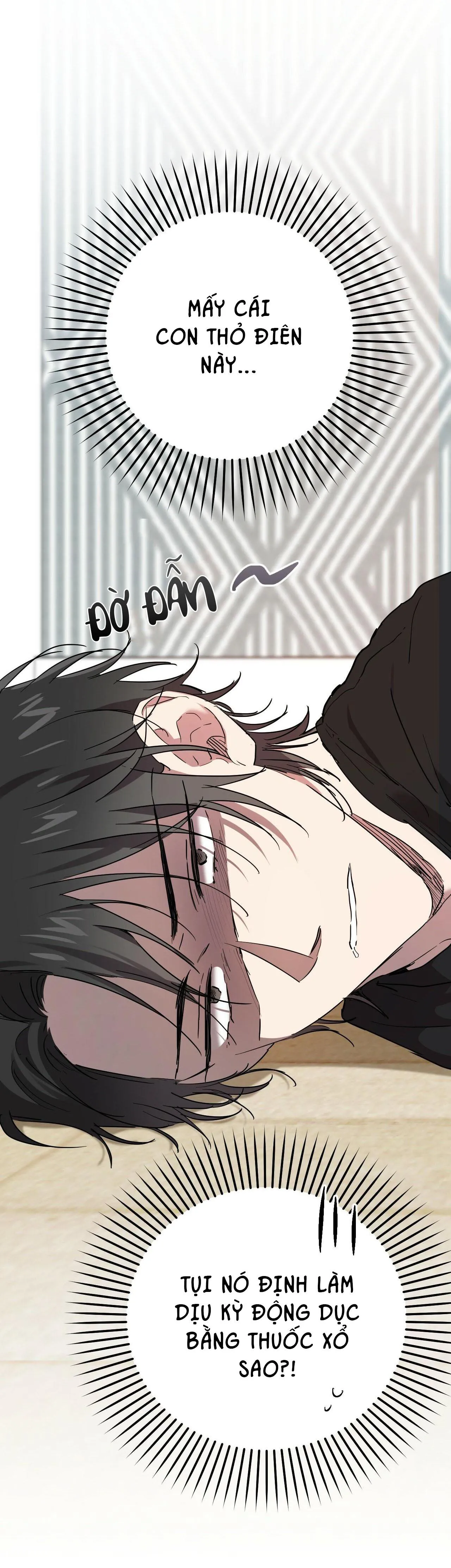 NHỮNG CHÚ THỎ CỦA HAPYPY Chapter 13 Trang 13