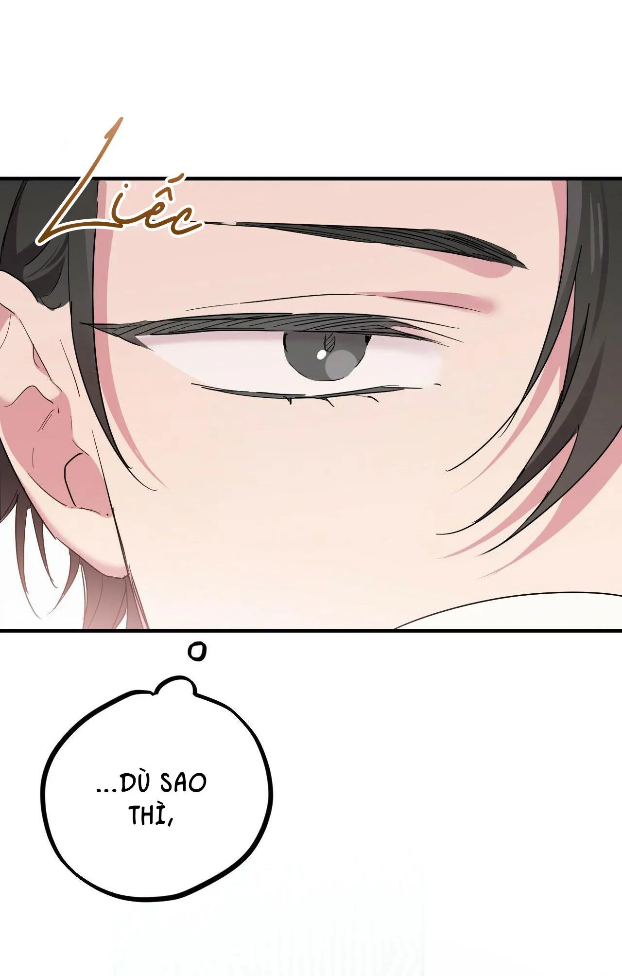 NHỮNG CHÚ THỎ CỦA HAPYPY Chapter 13 Trang 21