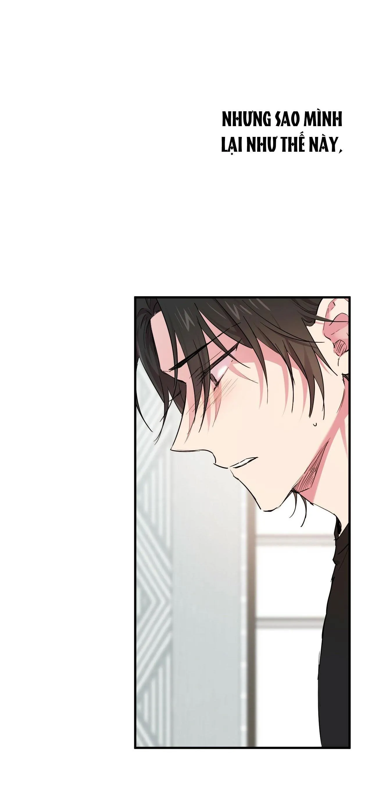 NHỮNG CHÚ THỎ CỦA HAPYPY Chapter 13 Trang 47