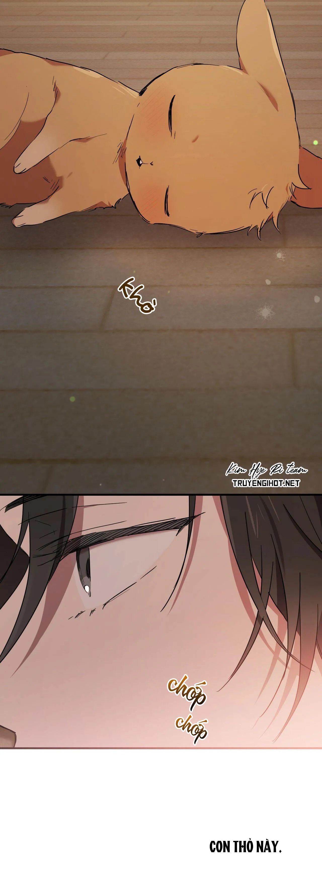 NHỮNG CHÚ THỎ CỦA HAPYPY Chapter 13 Trang 64