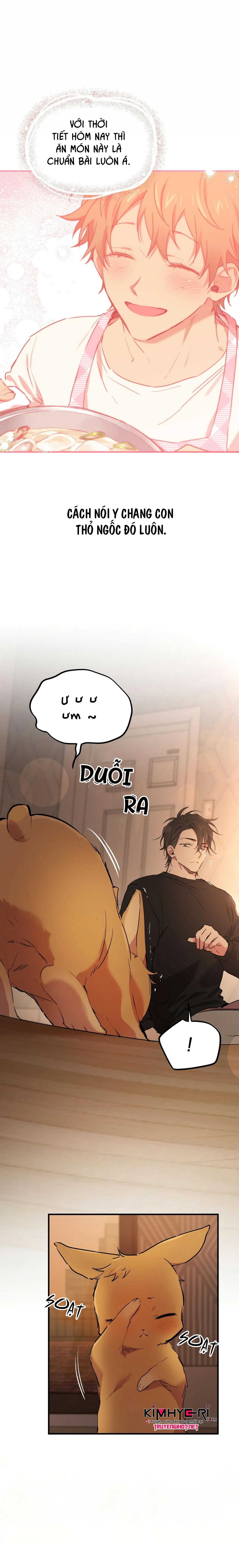 NHỮNG CHÚ THỎ CỦA HAPYPY Chapter 14 Trang 6