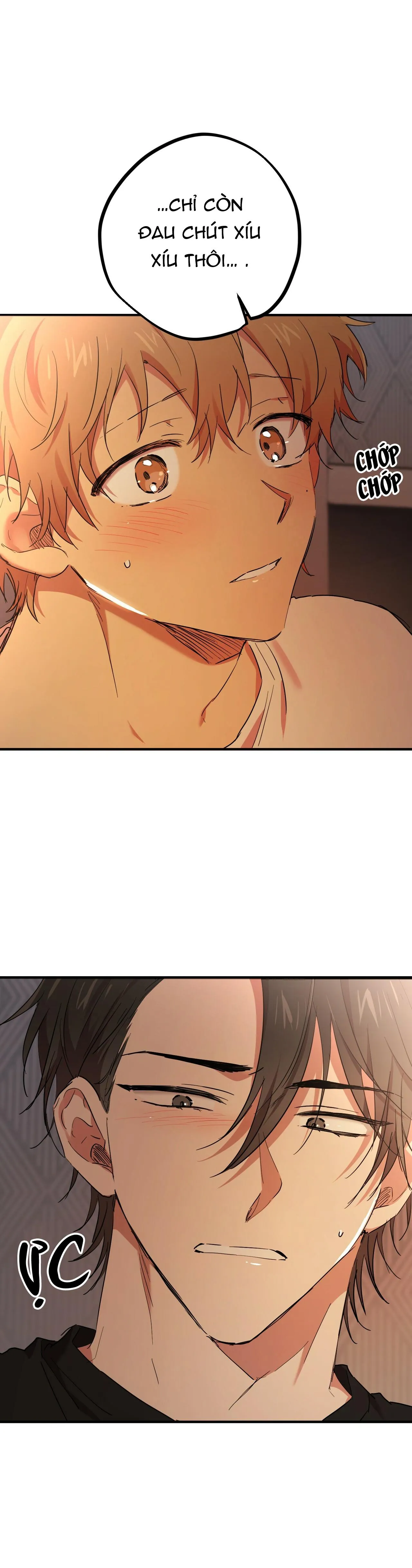 NHỮNG CHÚ THỎ CỦA HAPYPY Chapter 14 Trang 10