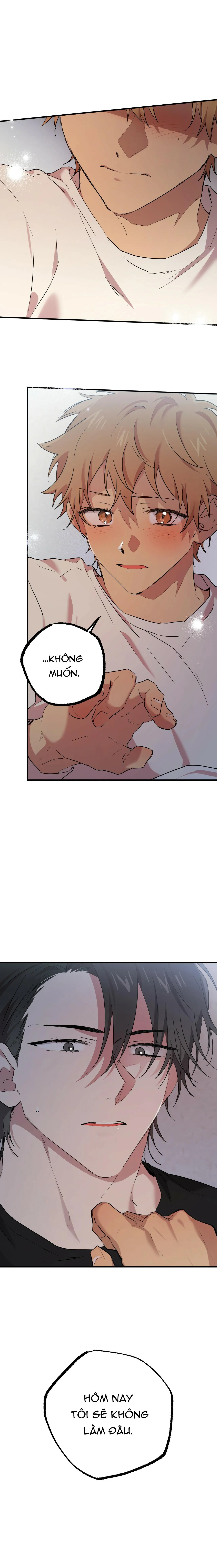 NHỮNG CHÚ THỎ CỦA HAPYPY Chapter 14 Trang 36