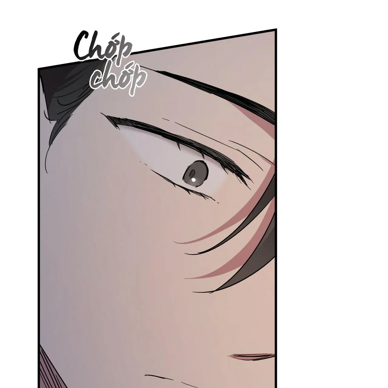 NHỮNG CHÚ THỎ CỦA HAPYPY Chapter 15 Trang 5