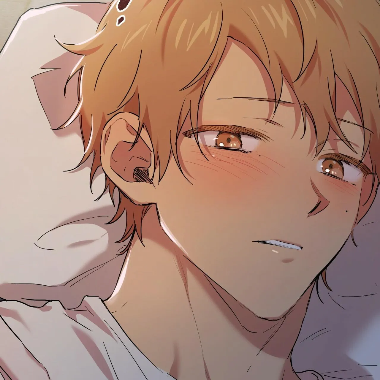 NHỮNG CHÚ THỎ CỦA HAPYPY Chapter 15 Trang 22