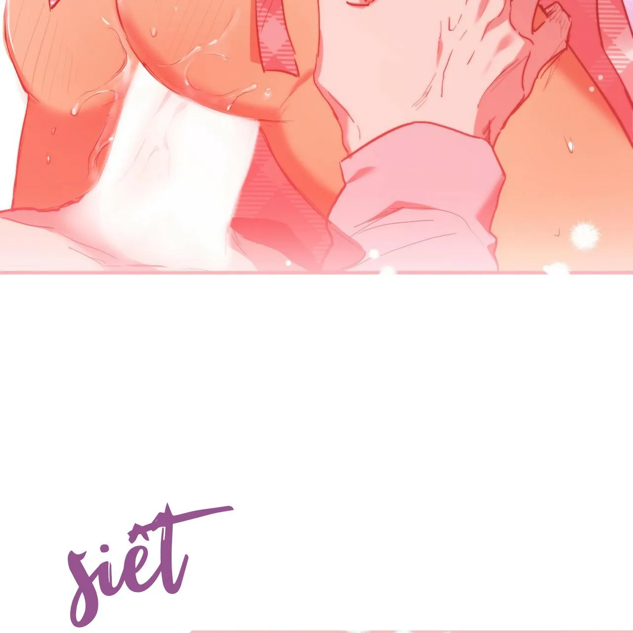 NHỮNG CHÚ THỎ CỦA HAPYPY Chapter 15 Trang 162