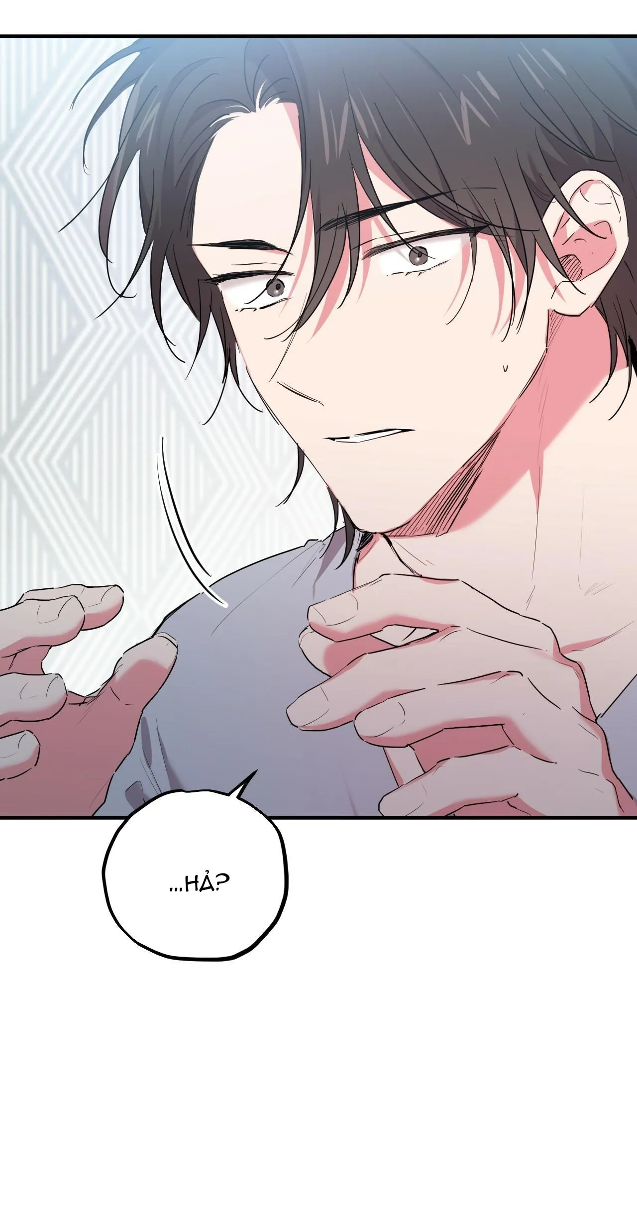 NHỮNG CHÚ THỎ CỦA HAPYPY Chapter 16 Trang 6