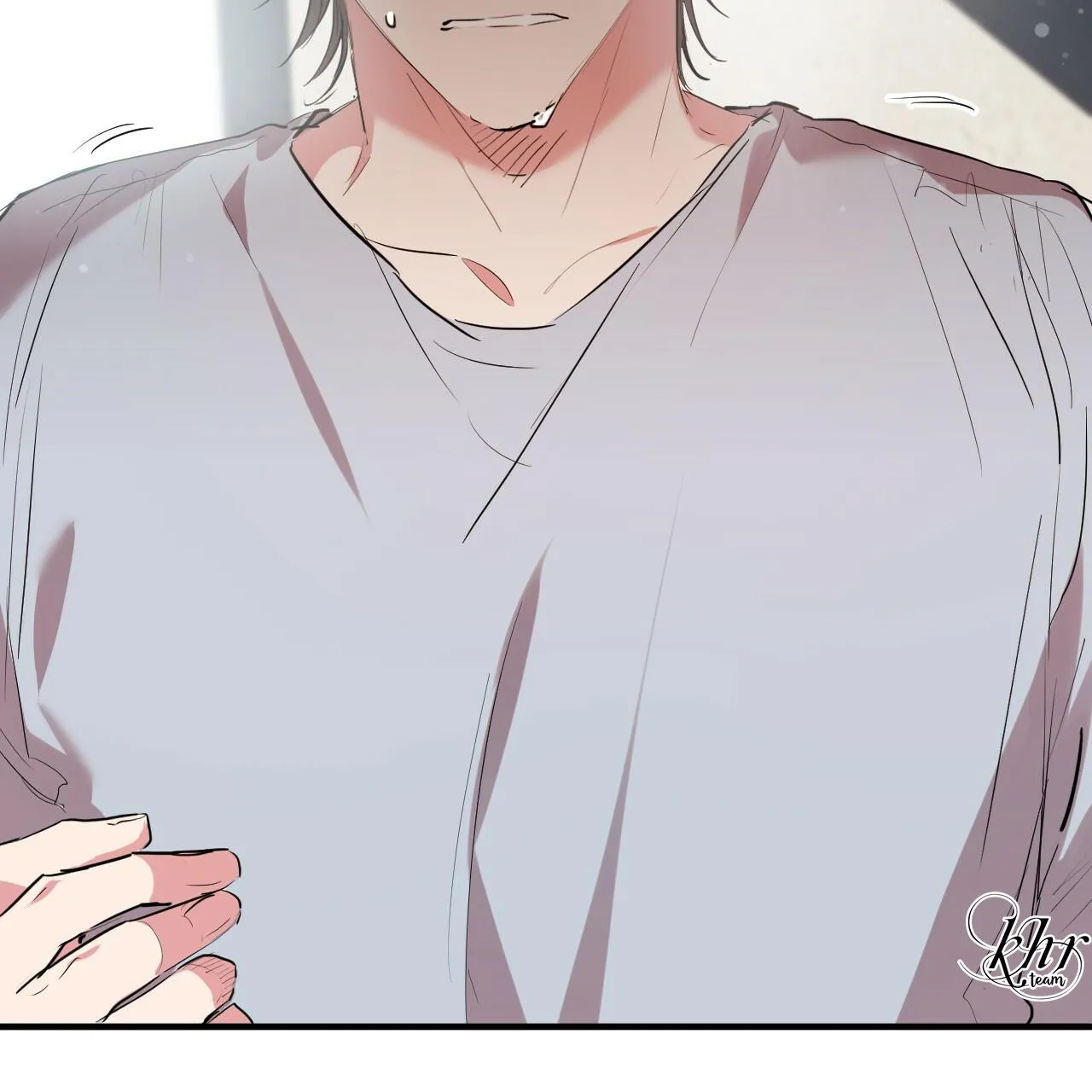 NHỮNG CHÚ THỎ CỦA HAPYPY Chapter 17 Trang 12