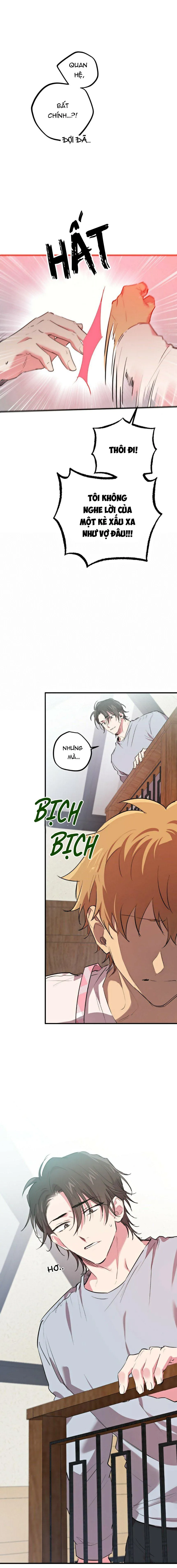 NHỮNG CHÚ THỎ CỦA HAPYPY Chapter 18 Trang 6