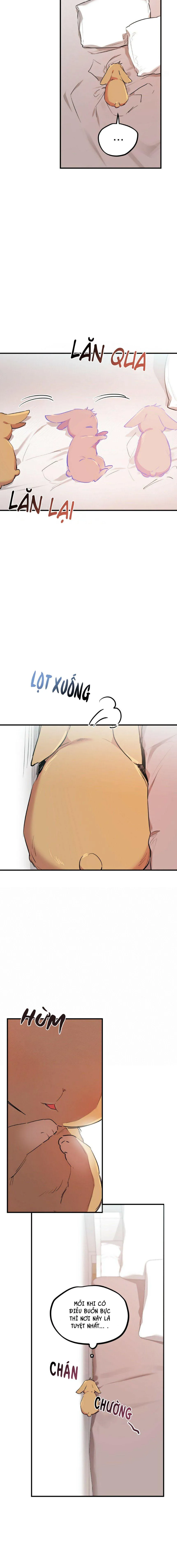 NHỮNG CHÚ THỎ CỦA HAPYPY Chapter 18 Trang 8