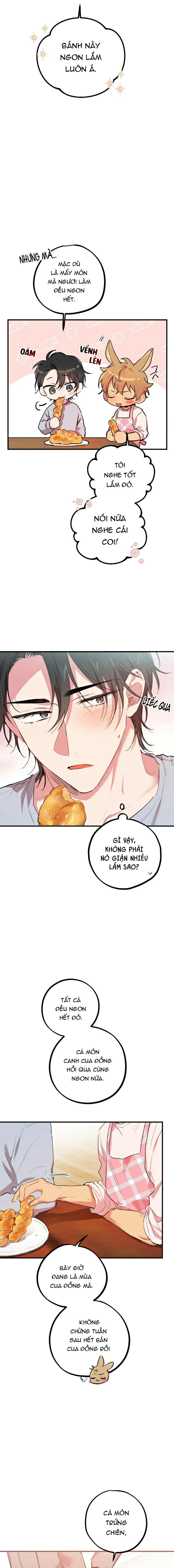 NHỮNG CHÚ THỎ CỦA HAPYPY Chapter 18 Trang 14