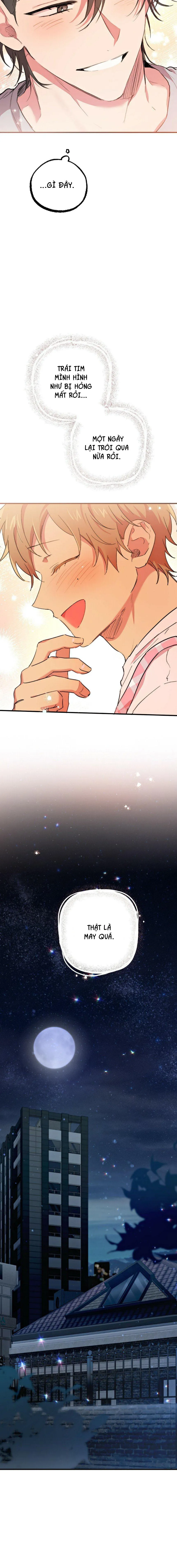 NHỮNG CHÚ THỎ CỦA HAPYPY Chapter 18 Trang 20