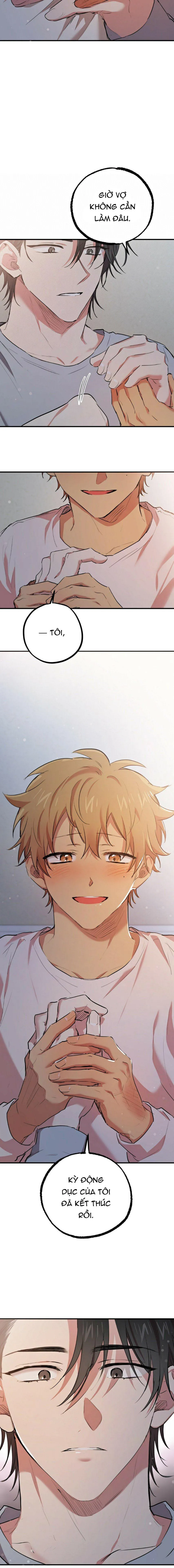 NHỮNG CHÚ THỎ CỦA HAPYPY Chapter 18 Trang 22