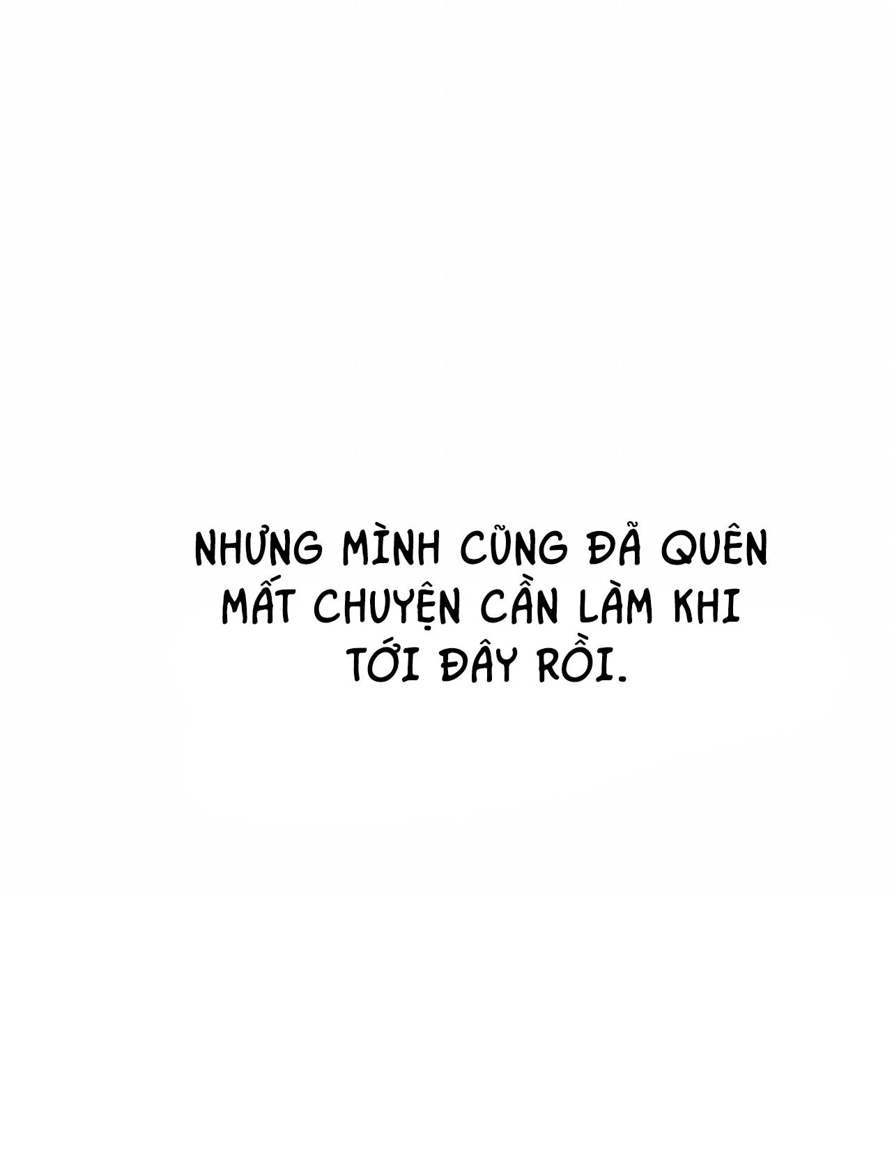 NHỮNG CHÚ THỎ CỦA HAPYPY Chapter 19 Trang 11