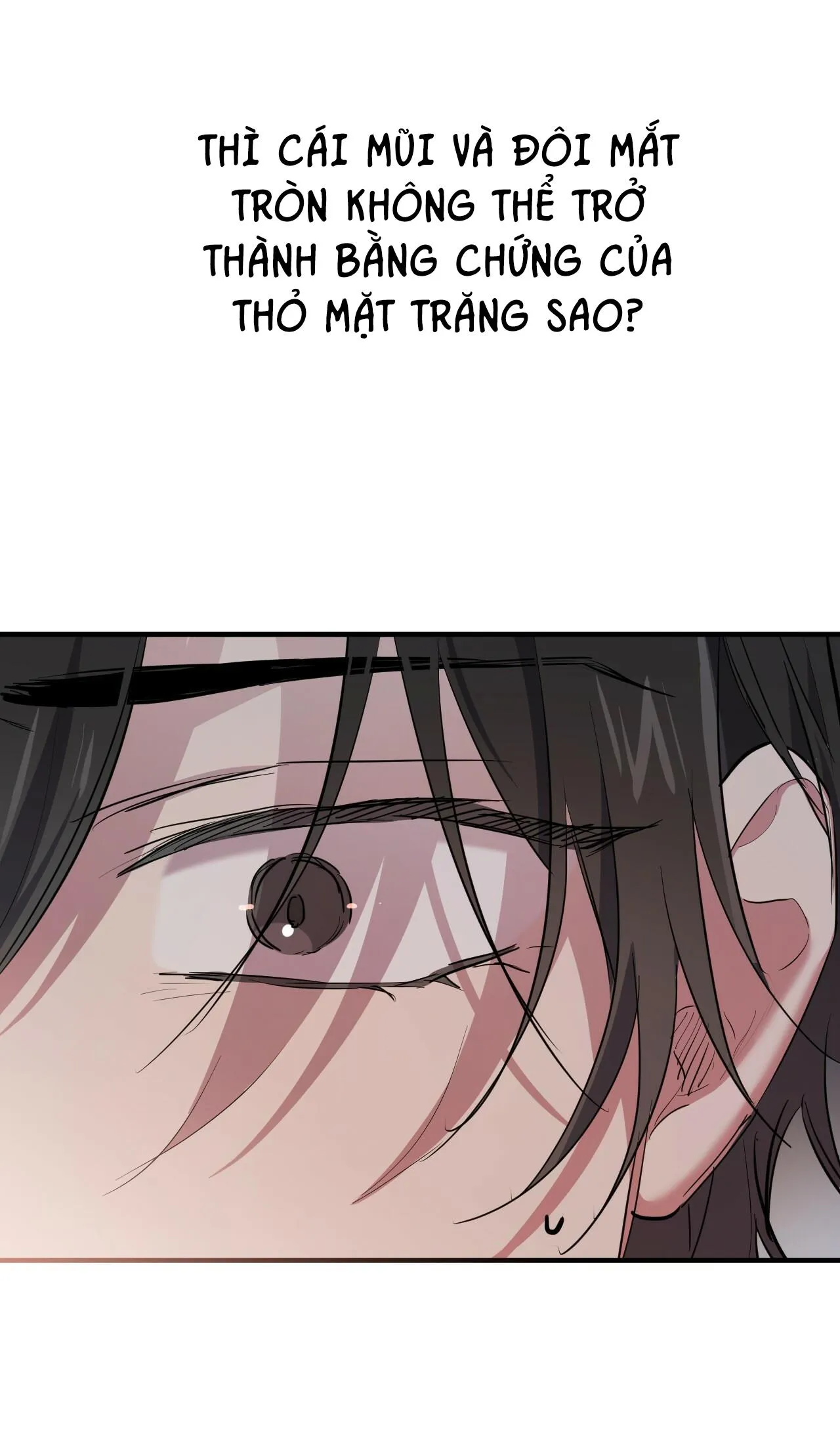 NHỮNG CHÚ THỎ CỦA HAPYPY Chapter 19 Trang 21