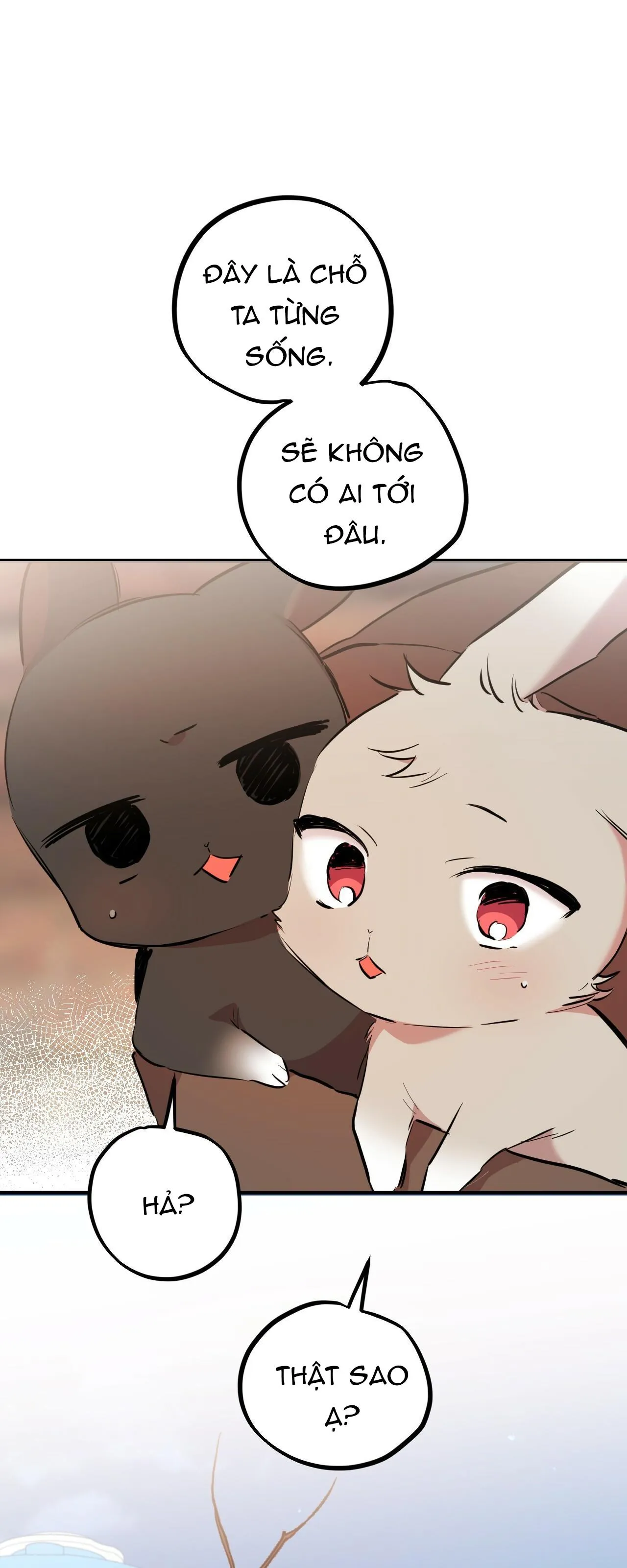 NHỮNG CHÚ THỎ CỦA HAPYPY Chapter 19 Trang 72