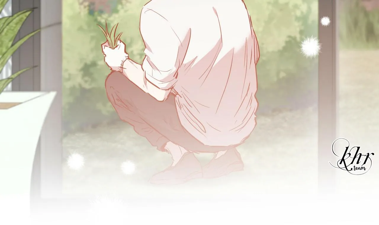 NHỮNG CHÚ THỎ CỦA HAPYPY Chapter 20 Trang 176