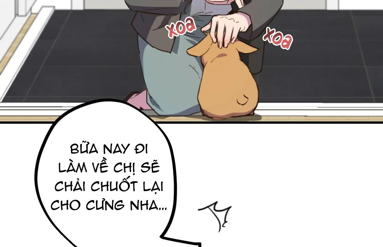 NHỮNG CHÚ THỎ CỦA HAPYPY Chapter 1 Trang 73