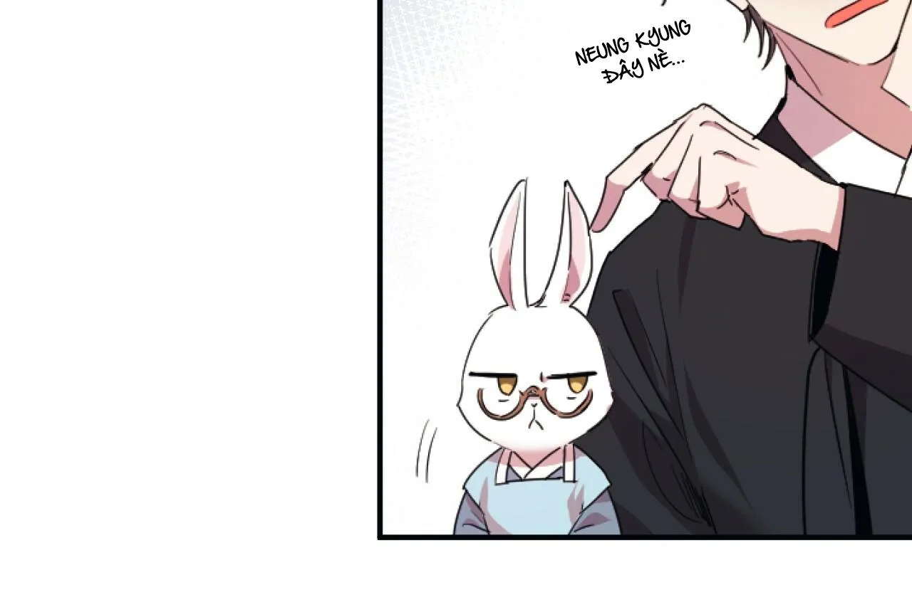 NHỮNG CHÚ THỎ CỦA HAPYPY Chapter 1 Trang 140