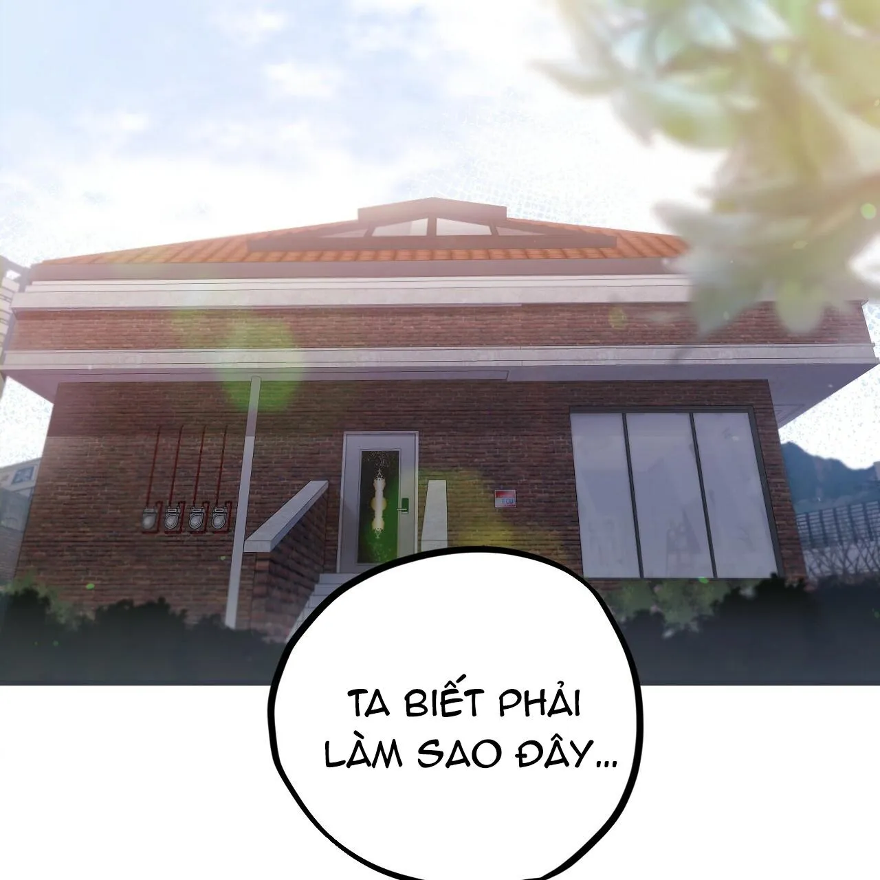 NHỮNG CHÚ THỎ CỦA HAPYPY Chapter 1 Trang 166