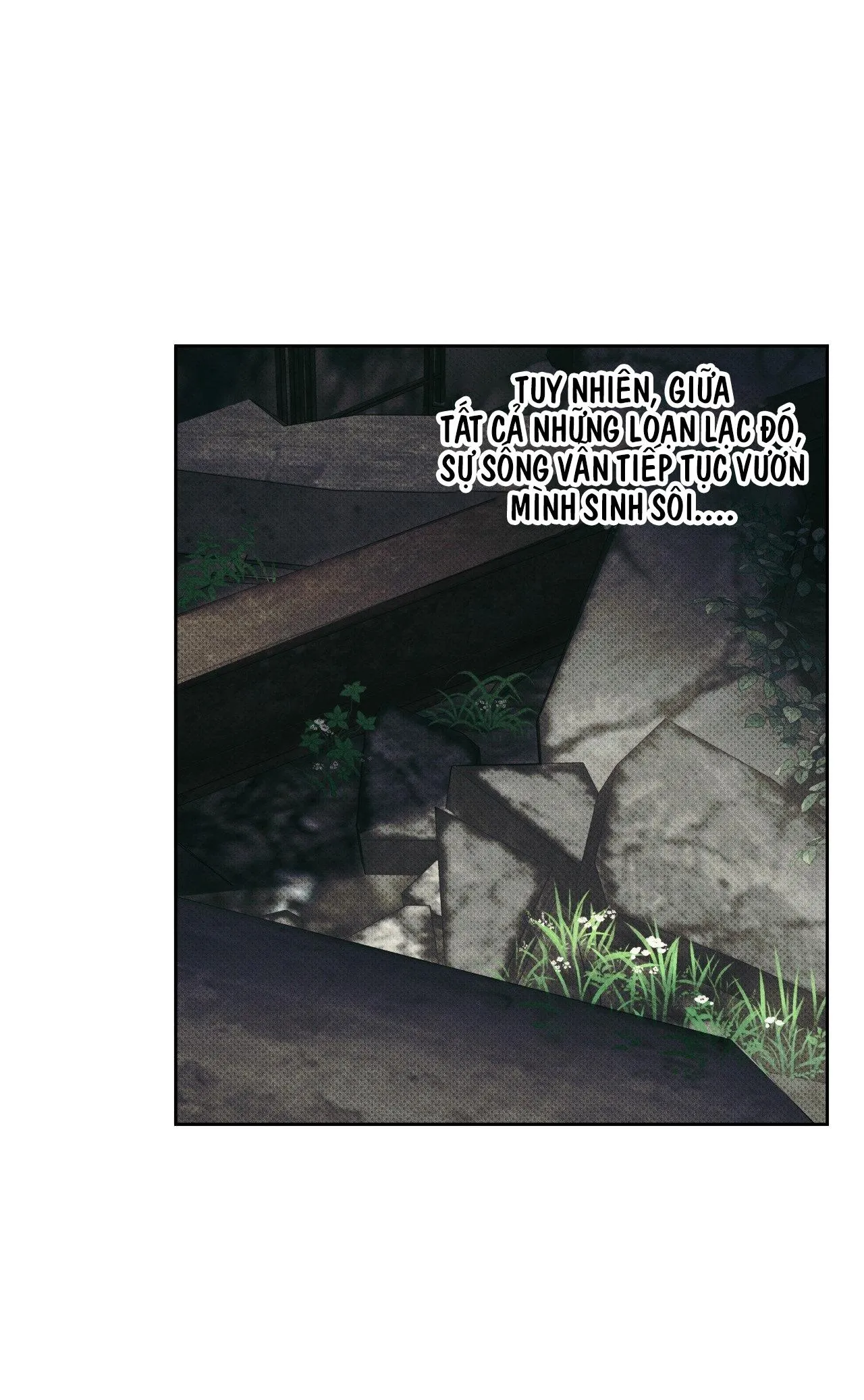 NHỮNG CON CHÓ SĂN CỦA SISYPHUS Chapter 1 Trang 37