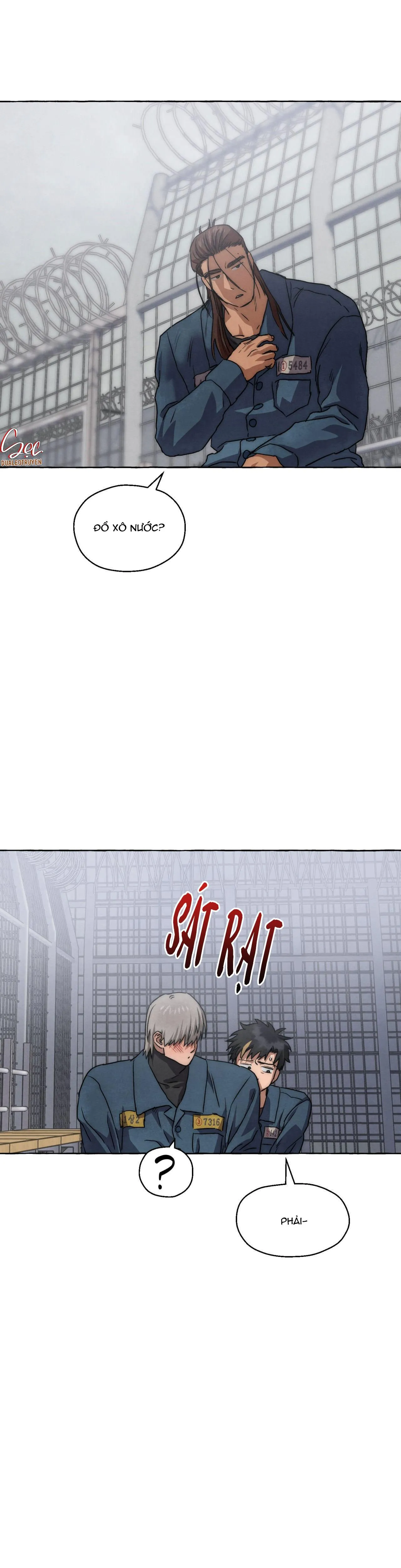 NHỮNG CON CHÓ TRONG TÙ Chapter 51 Trang 11