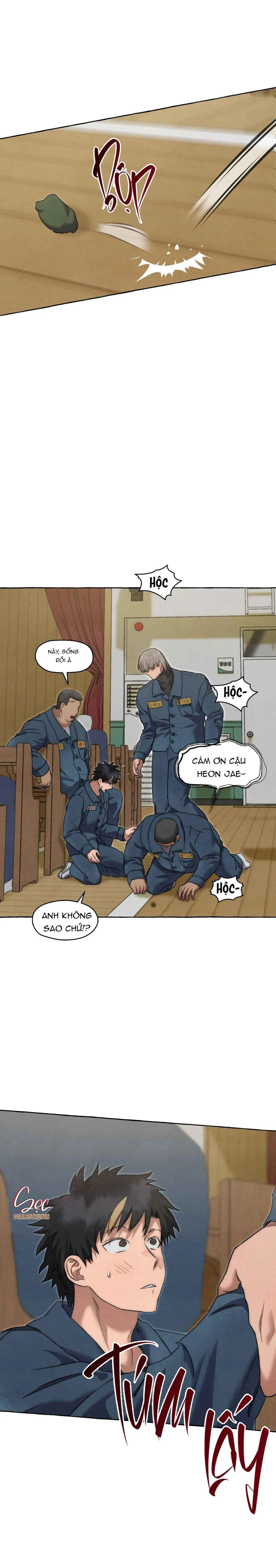 NHỮNG CON CHÓ TRONG TÙ Chapter 53 Trang 20