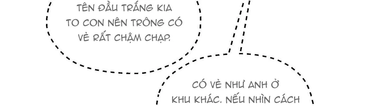 NHỮNG CON CHÓ TRONG TÙ Chapter 63 Trang 35
