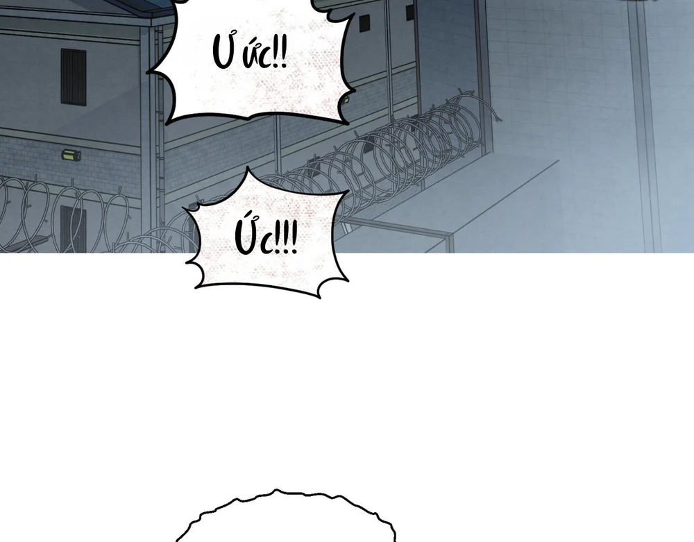 NHỮNG CON CHÓ TRONG TÙ Chapter 73 Trang 42