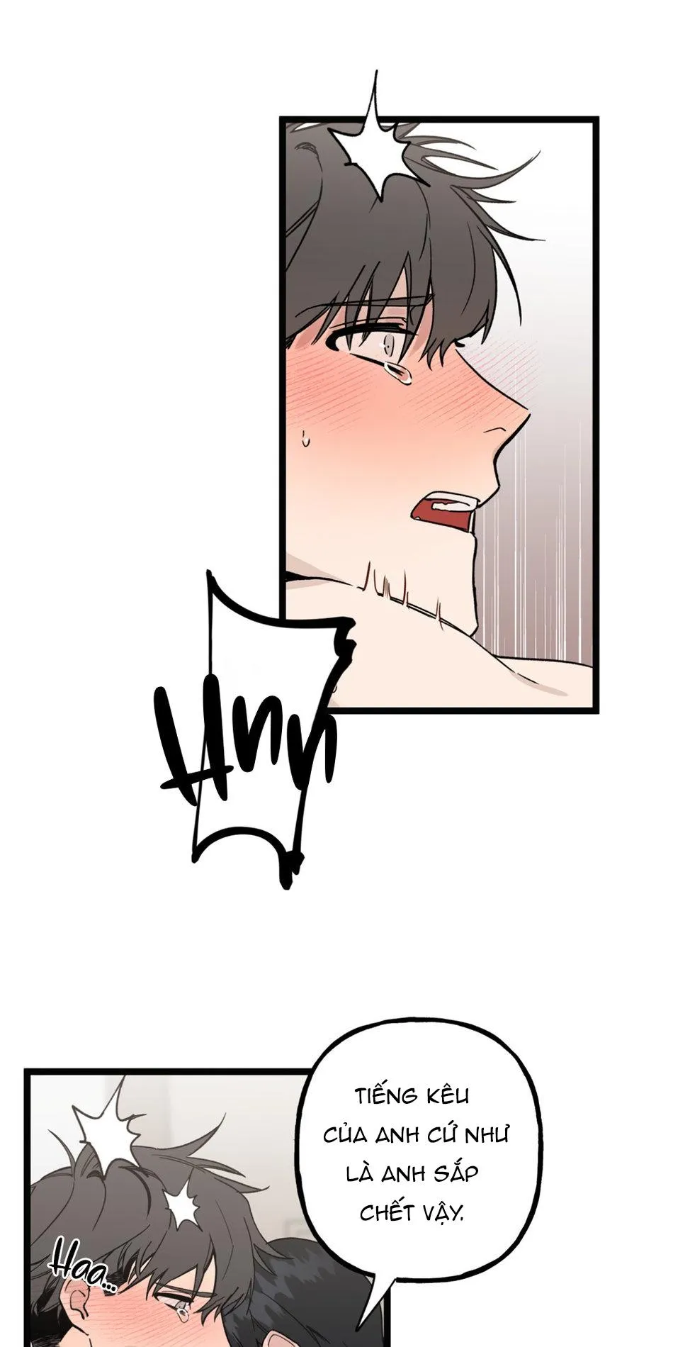 Những Gì Em Mong Muốn Sẽ Không Trở Thành Sự Thật Chapter 4 Trang 15