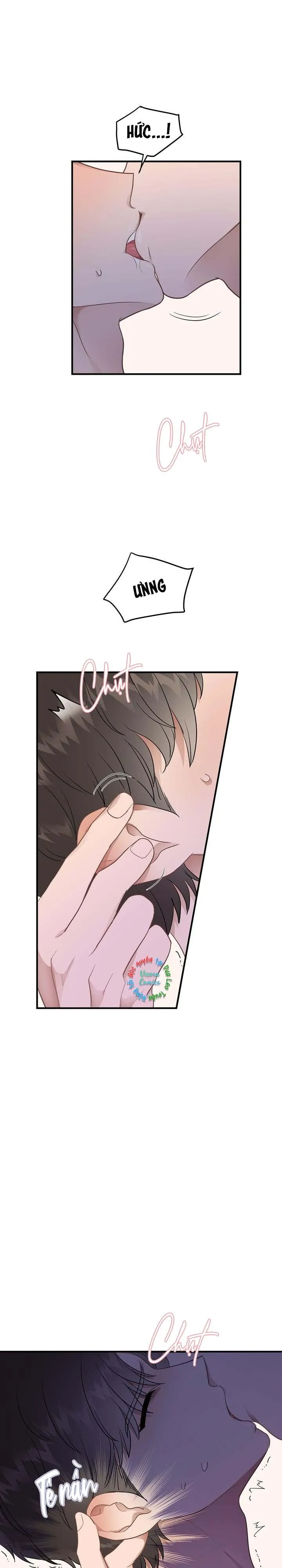 Niềm An Ủi Ngày Chủ Nhật Chapter 21 Trang 13