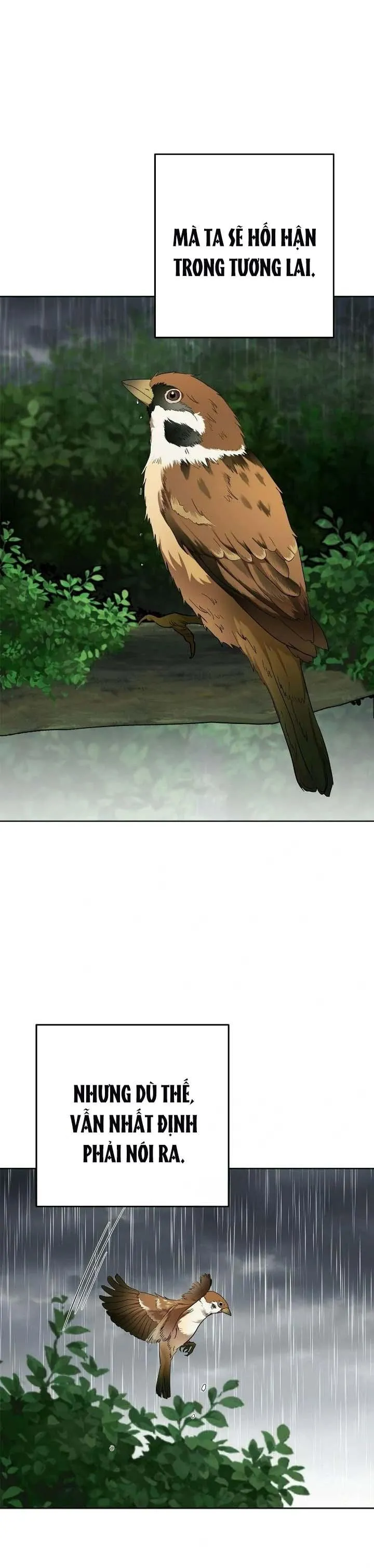 Niềm An Ủi Ngày Chủ Nhật Chapter 65 Trang 20