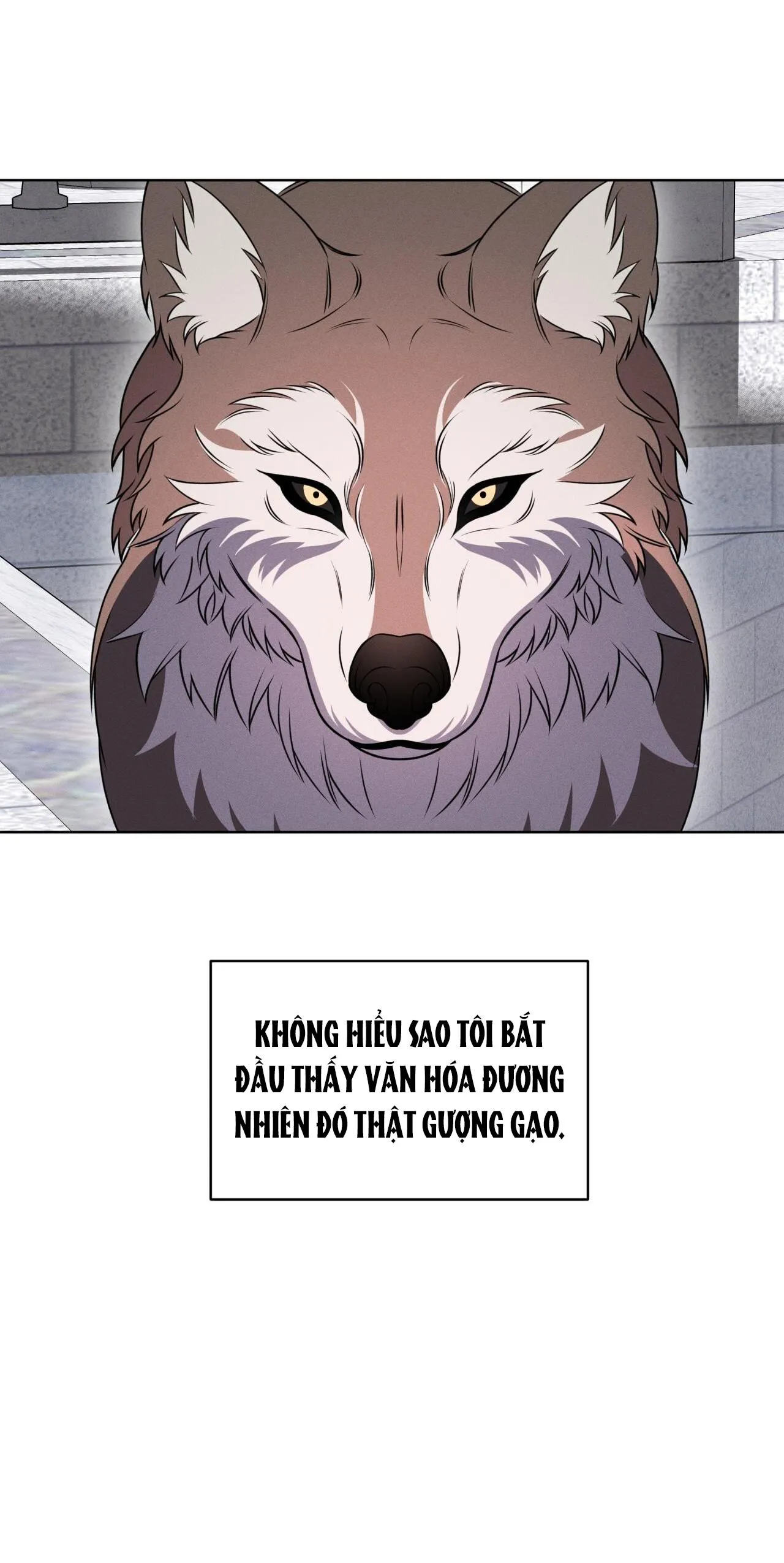 NIGHT OF LONDON Chapter 19 Trang 29