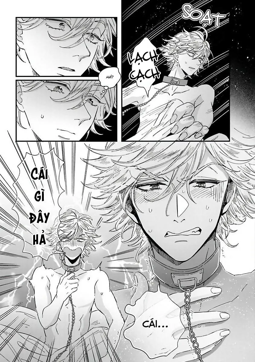 Niizuma Và Arao Lại Một Lần Nữa Chapter 3 Trang 3