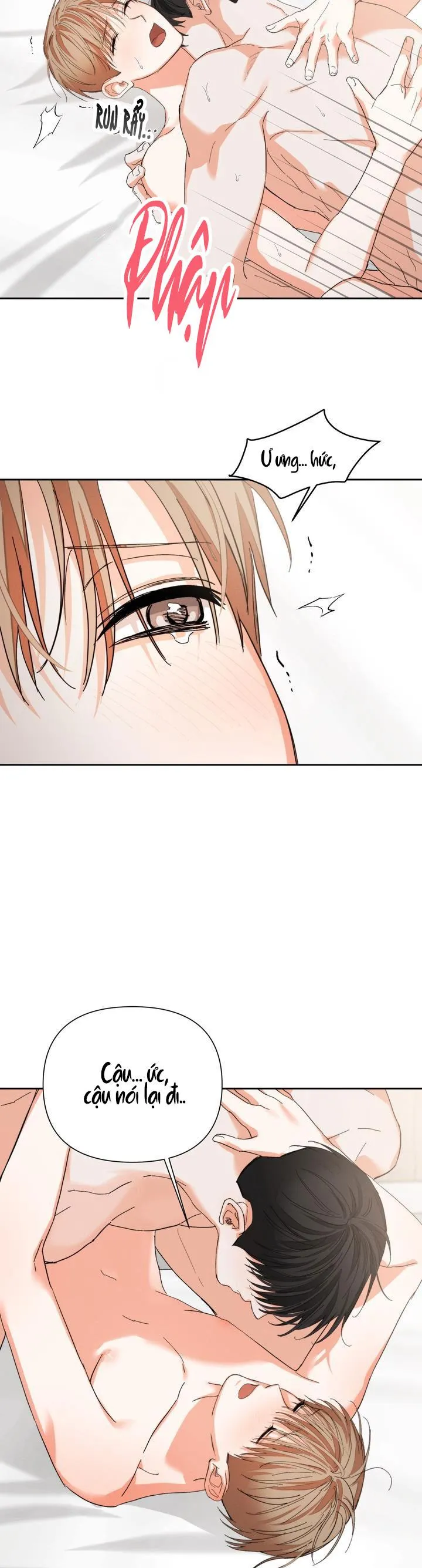 NINE TO NINE Chapter 66 Trang 11