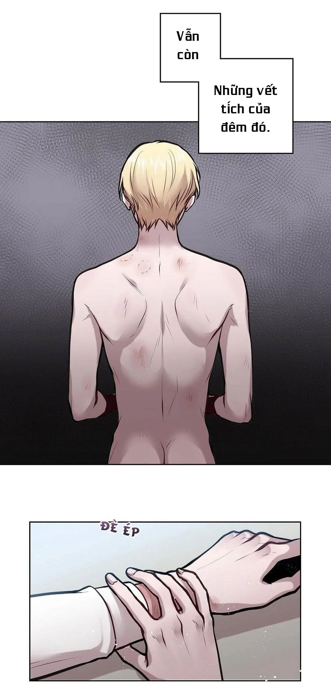 Nô Lệ Tình Thú Chapter 12 Trang 5