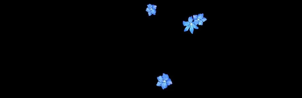 Hạ cánh cuối chân trời Chapter 16 Trang 5