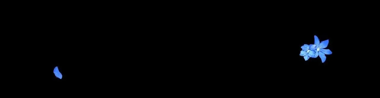 Hạ cánh cuối chân trời Chapter 16 Trang 7