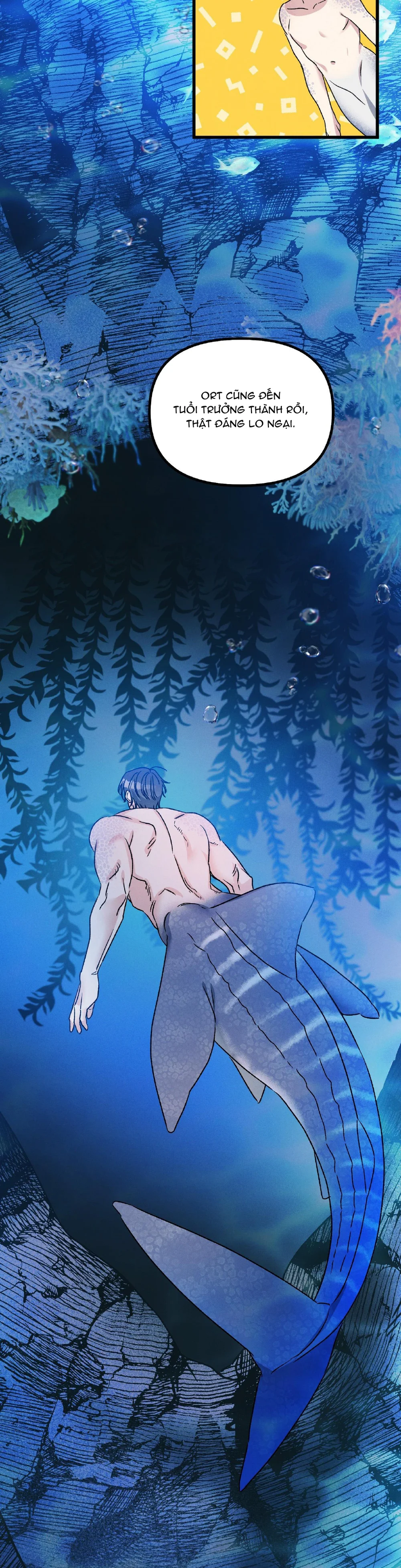 NÔI NGƯỜI CÁ Chapter 2 Trang 42