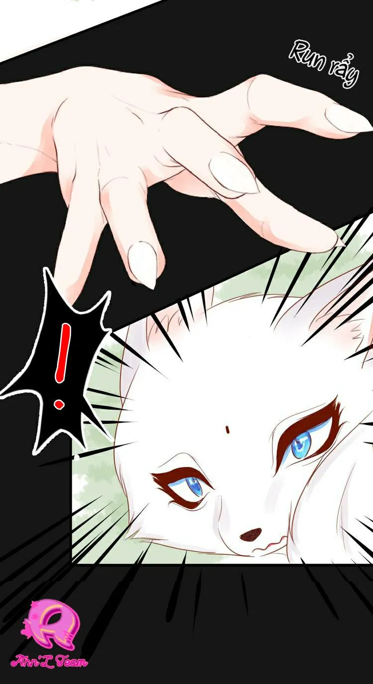 Nỗi Nhớ Ngàn Năm Chapter 2 Trang 15