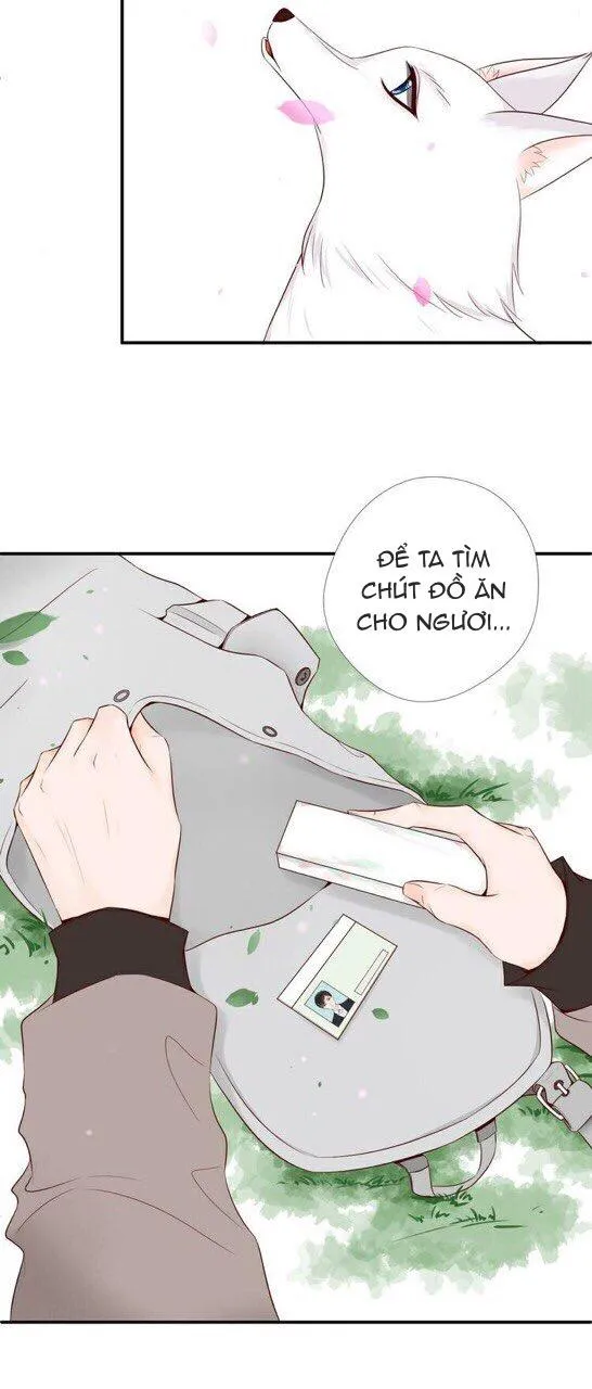 Nỗi Nhớ Ngàn Năm Chapter 6 Trang 4