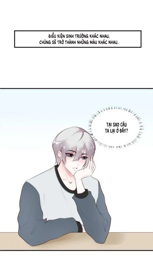 Nỗi Nhớ Ngàn Năm Chapter 9 Trang 27