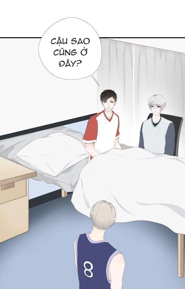 Nỗi Nhớ Ngàn Năm Chapter 12 Trang 14