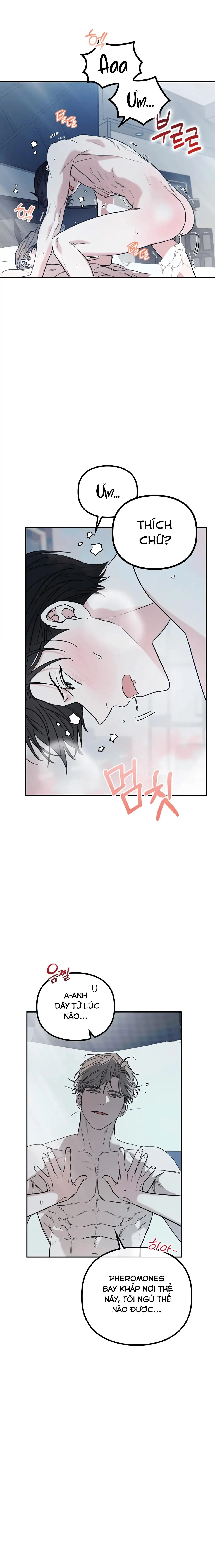 Non-refundable Alpha [Hoàn] Chapter 3 Trang 16