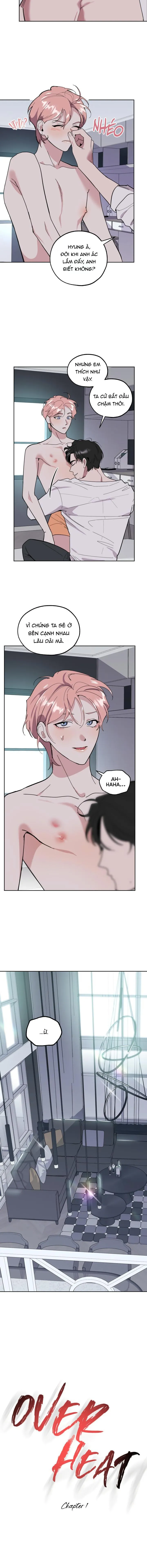 Nóng Bỏng Chapter 1 Trang 5